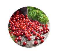 Ingredient 3